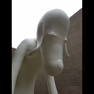 HARU