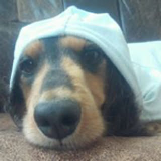 rey_rey