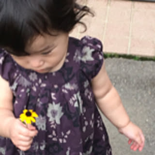 haru