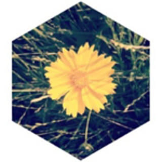 NANO