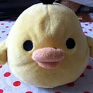 piyo