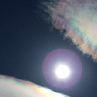 tsuki009