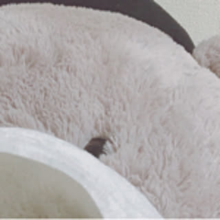 haru.