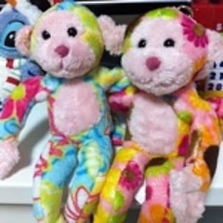 hi_co888