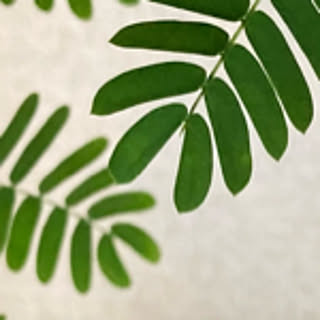 h___re___i