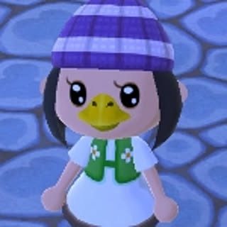 yupoyo