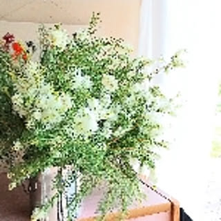 Rosemary0521