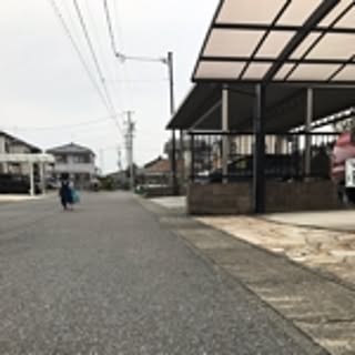 arashic