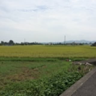 misyuhara