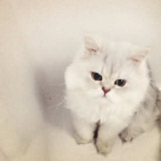 rina
