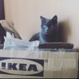 hikaru