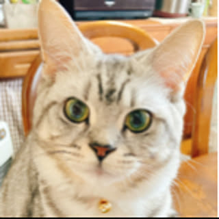 Chomeaki