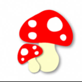 kinoko