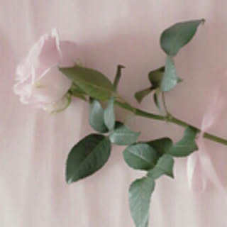 mimi_room