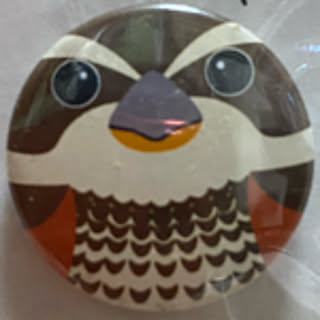 dusky_thrush