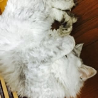 Kiko