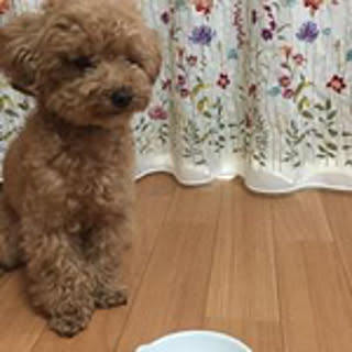 kinako