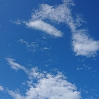 YUKI