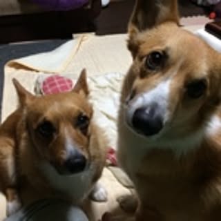 sinmeiyuuko