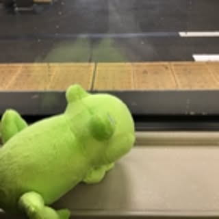 suu