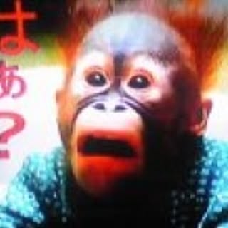 SYOCHAN