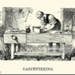 Carpenter.megurou