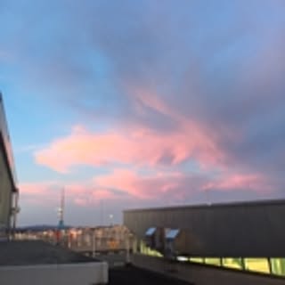 tomo