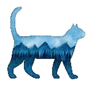 Sota