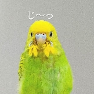 Akiko
