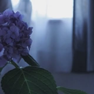 tt