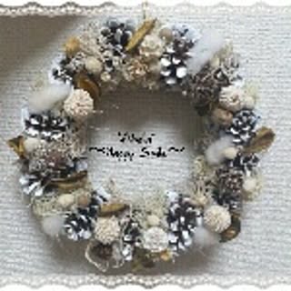 Abelia
