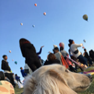 miro_n_chi