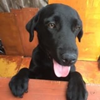 aa