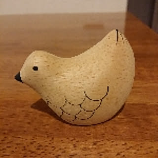 pi-chan