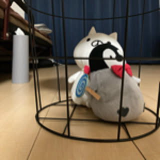 masa