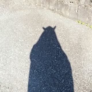 milky