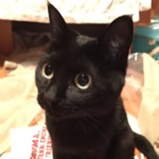 Junpei