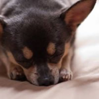 Keita