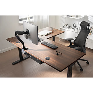 standdesk