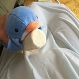 koba._.saya