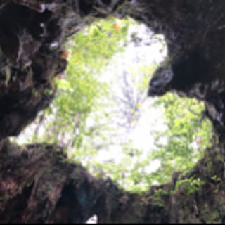 ayru