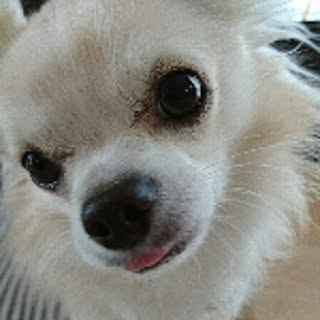 Akiko
