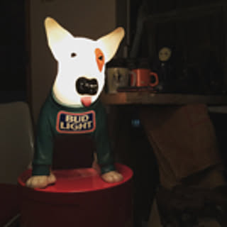 standingmstr