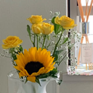 happyroom