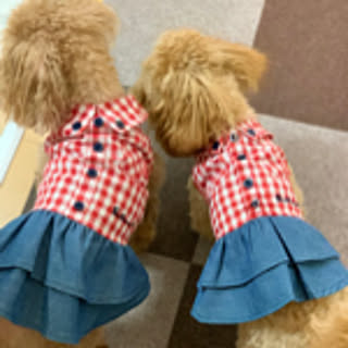 koharu