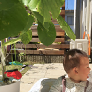 yoko
