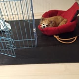 Yuki