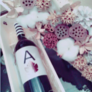 pipi_house