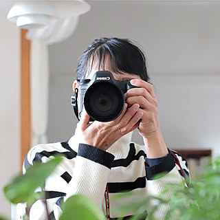 ayumi_kaiga