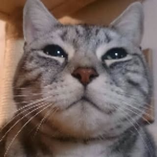 masayo